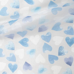 n I[KWvg n[g i3060-F40479j F1029 10Bg10_