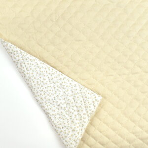 LeBOn o[VuLg n×ԁi4800j 3.x[W 09Bi20_