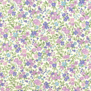 LeBOn Lu[hԃvgLgiQKTS2704j D.p[v 09Bi20_