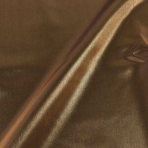 n gDCNTeiS9300j 3.uY 10Ae08_