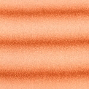 ߂񐶒n FT ڂi121180j 5751.F 09Bh18_