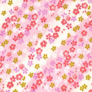 ߂񐶒n FT i121180j 5106. 09Bh18_