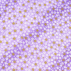 ߂񐶒n FT i121180j 5123.F 09Bh18_