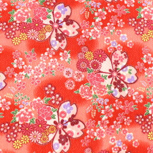 _Ԍ20%OFF^ ߂񐶒n FT S؁i121180j 5412.F 09Bh18_