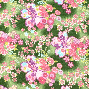 _X[p[Z[20%OFF^ ߂񐶒n FT S؁i121180j 5414.ΐF 09Bh18_