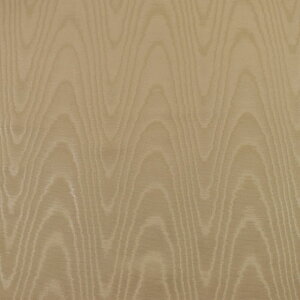 n YA i80199j 12.Cappucin-x[W 09Cr40_