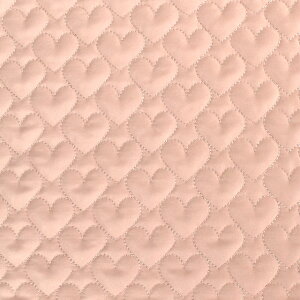 n Nerori Rose l[Y n[gLg/LeBOiNRF-05Hj P.sN 09Bi19_