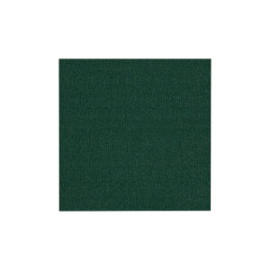 TtFg ^b`tFg/V[^Cv 18cmp RN-20 06Bk99_