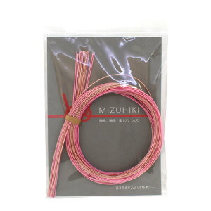 Zbg MIZUHIKIiPHC-100-5j 5. 06Bj99_