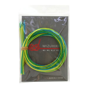 Zbg MIZUHIKIiPHC-100-9j 9.a 06Bj99_