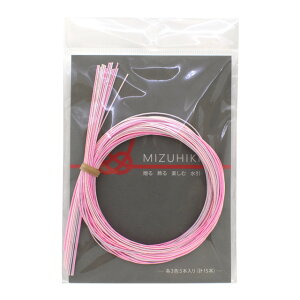 Zbg MIZUHIKIiPHC-100-22j 22.LfB 06Bj99_