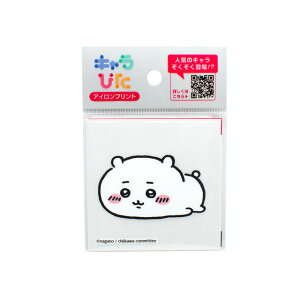 L҂  ACvgV[giCK-A-202307-mij ~jTCY 1. 08Bf99_