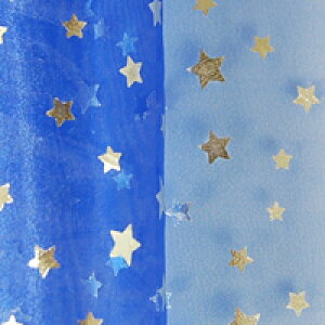 _Ԍ20%OFF^ I[KW[n ̃Xe[Wi160305j 5.×Vo[ 10Bg10_