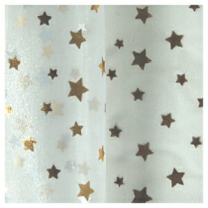 I[KW[n ̃Xe[Wi160305j 8.×S[h 10Bg10_