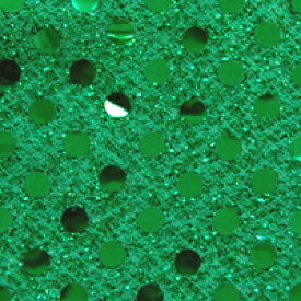 生地 スパンラメジャージミニ（899） 7.グリーン×グリーン (H)_k5_