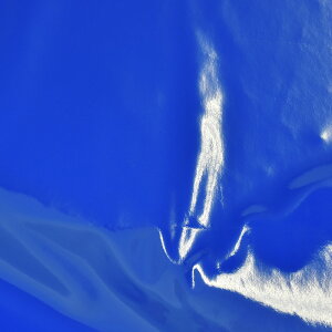 Gin G}C2i160274j 8.u[ 10Bn99_