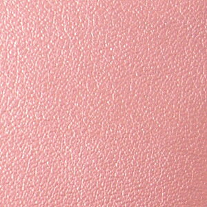 _Ԍ20%OFF^ 琶n Xgb`U[iG-8j 58M.^bNsN 10Bn99_