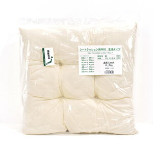 _Ԍ10%OFF^ V[gNbV 45×45cm 15Yy88_