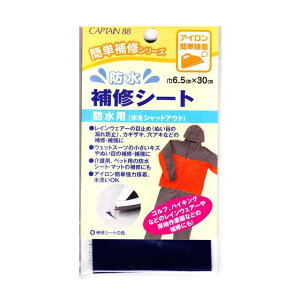 CAPTAIN88 hCV[g ACڒiCP172j 2. 08Bd99_