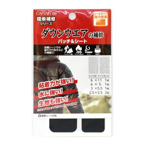 CAPTAIN88 _EEGA̕Cpb`V[giCP228j 1.ubN 08Bd99_