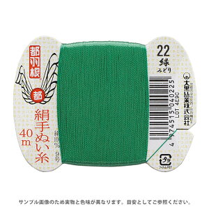 sH ʂ 9 J[h 40m 22. 08Ab99_