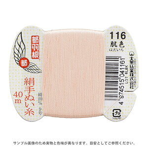 sH ʂ 9 J[h 40m 116.F 08Ab99_