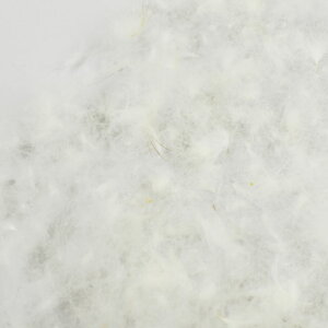�H�� �_�E��300g�iBSD10000�j �� 07Bj99_