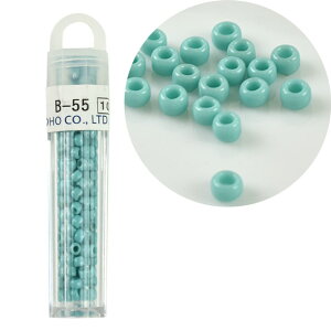 TOHO NC[r[Y ۑr[Y B-55 06Ad99_