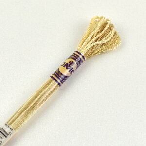 刺しゅう材料 DMC 刺繍糸 25番 カラーバリエーション 色番4072 06Bg99_