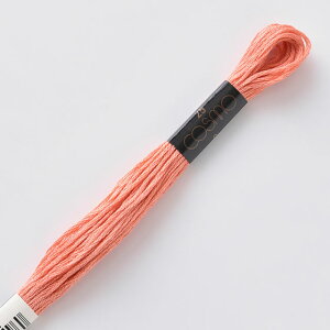 hイޗ cosmo-RX- hJ 25 F342 06Bg99_