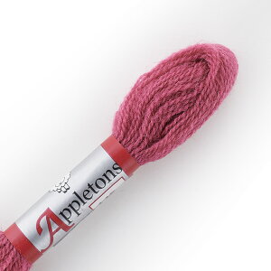 hイޗ Appletons-Abvg- NEFE[ F145 06Bg99_