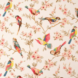 n Cath Kidston-LXLbh\ BRITISH BIRDS ueBbVEo[YiAWCK04j PASTEL 09Ac04_