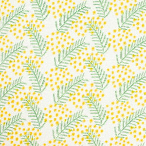 k[֑Ήil n kippis-LbsX- Mimosa ~U/V[`OiKPSj 80A.It 09Ac04j