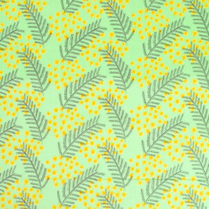 k[֑Ήil n kippis-LbsX- Mimosa ~U/V[`OiKPSj 80B.O[ 09Ac04j