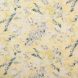 〔メール便対応商品〕 生地 yui-ユイ- 2025SS 綿麻コンパス Reeves spirea(EGXA-6424) 色番1A 09Ac04_