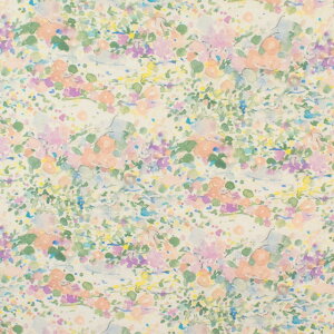 〔メール便対応商品〕 生地 yui-ユイ- 2025SS 綿麻コンパス Spring seaside(EGXA-6425) 色番1A 09Ac04_