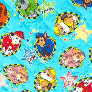 n pEEpg[ ^/LeBOiGQ4621j 1A.u[ 09Bi20_