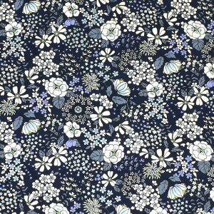 k[֑Ήil n u[hvg ntPFԁiKTS6097j D.lCr[ 09Af15_