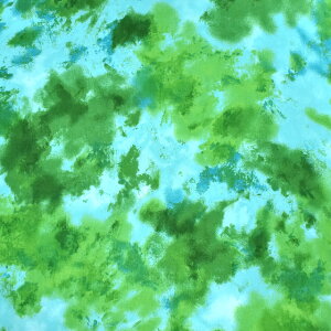 k[֑Ήiln }`J[߁iCS2020j 201.O[×u[ 09Aa01_