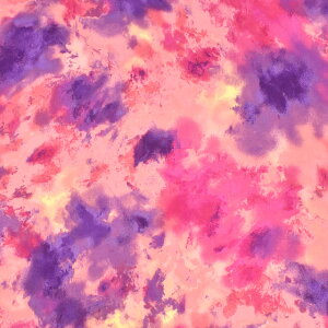 k[֑Ήiln }`J[߁iCS2020j 205.sN×p[v 09Aa01_