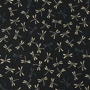 k[֑Ήiln aV[`O Ƃځi88222j 7-13. 09Ag17_