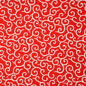 k[֑Ήiln hr[vg POPiKR4644j C.Ԓn×C 09Ag17_