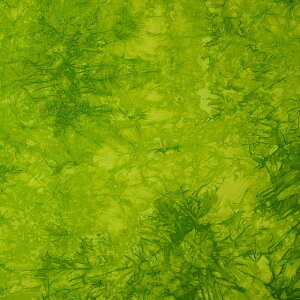 k[֑Ήiln vg/V[`Oi060j 431.XO[ 09Aa01_