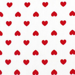 �k���[���֑Ή����i�l���n �I�b�N�X�v�����g �n�[�g�iHSK700�j 1E.�z���C�g 09Bk23_