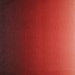 _Ԍ20%OFF^ k[֑Ήil n Of[ViDD11216Sj 105.Z{h[`Ԓn 09Aa01_