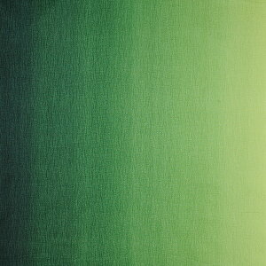 _Ԍ20%OFF^ k[֑Ήil n Of[ViDD11216Sj 204.Z΁`Όn 09Aa01_