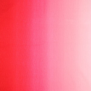 _Ԍ20%OFF^ k[֑Ήil n Of[ViDD11216Sj 504.ԁ`sNn 09Aa01_