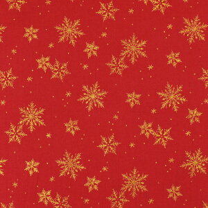 k[֑Ήil n NX}Xvg ̌/V[`OiDX11840Lj C.bh×S[h 09Ae99_