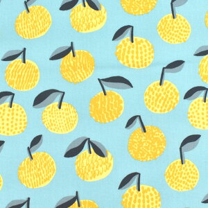 k[֑Ήiln kippis-LbsX- Mikan ݂/IbNXiKPOj 46B.~g 09Ac04j