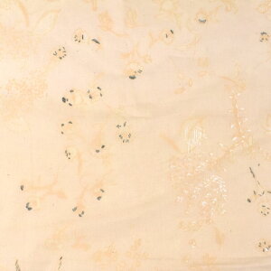 n naniIRO-ijC- Lokomaikai/I[KjbN[iEGX-11291j 1B./bJ[Ep[ 09Ac04_